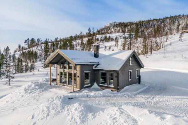 Na fotografii je vidět objekt Polaren by Norgesbooking - cabin with amazing view nacházející se ve městě Notodden.