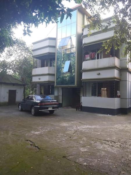 Na foto é possível ver o objeto Syed monjil localizado na cidade de Pitua.