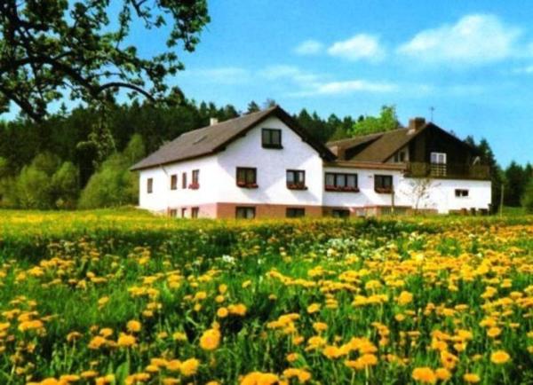 Na fotografii je vidět objekt Gasthaus-Pension Zum Brandweiher nacházející se ve městě Amorbach.