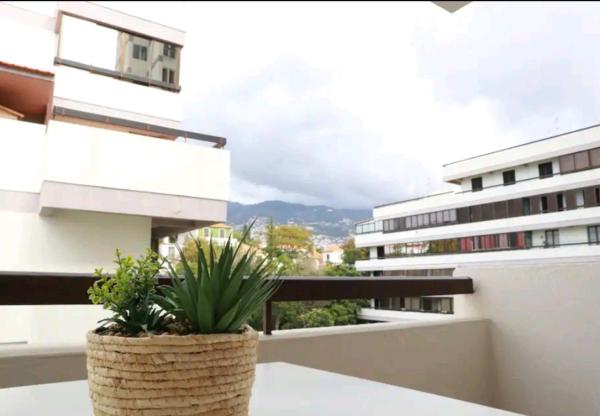 A la foto es mostra l'objecte Vista Infante Apartments situat a la ciutat de Funchal.