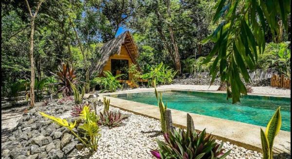 En la foto se muestra el objeto Cabinas de Lou Eco Lodge TAMARINDO ubicado en la ciudad de Santa Rosa.