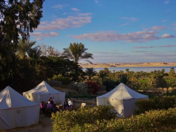 Tunis Camp Fayoum