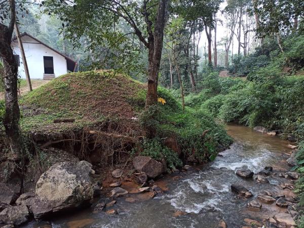 Creek Side - Coorg (Kodagu)