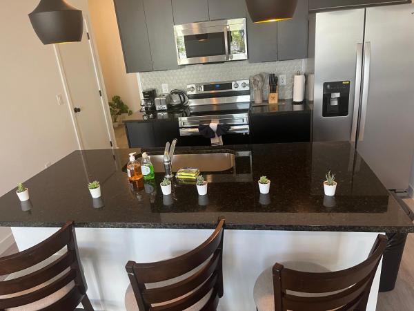 Brand New Townhouse, min from Disney