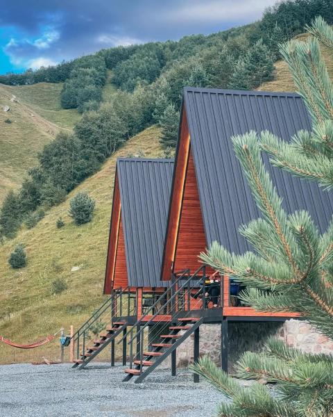 A la foto es mostra l'objecte Gagma Chalets Kazbegi situat a la ciutat de Kazbegi.