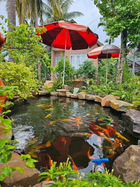 The photo shows the Dak Nguyen Homestay DakLak located in the city of Phú Ðức.