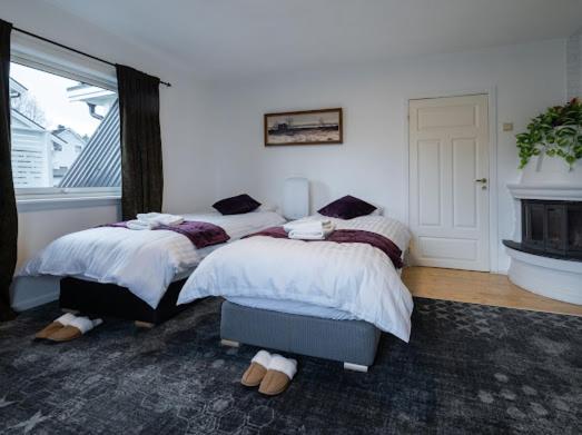 Aurora Dream House Apartment with free parking, Tromsø