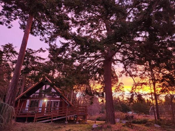 Nella foto è visibile l'oggetto Rustic A-Frame hot tub retreat near Deception Pass situato nella città di Oak Harbor.