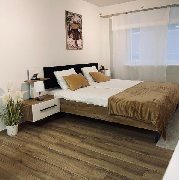 Eine schöne Wohnung am Messeplatz, Bâle