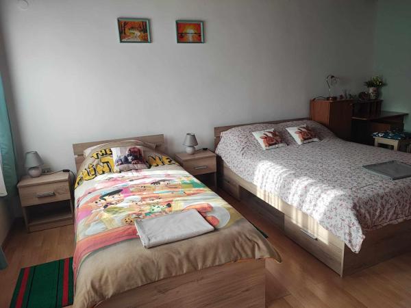 Nella foto è visibile l'oggetto Apartman 1 RIBIČ situato nella città di Ogulin.