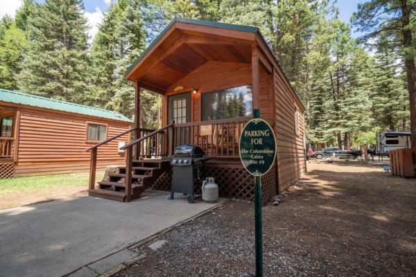 A la foto es mostra l'objecte The Columbine Cabin #9 at Blue Spruce RV Park & Cabins situat a la ciutat de Tuckerville.