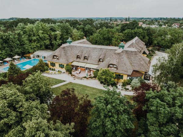 Na zdjęciu widoczny jest obiekt Nyerges Hotel Termál Superior położony w mieście Monor.
