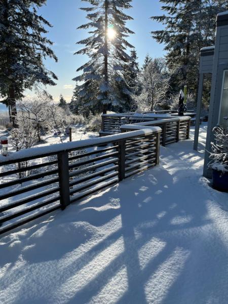 Forest by the Sea Rentalsの写真3