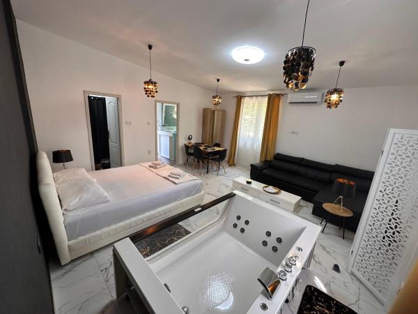 A la foto es mostra l'objecte Wellness apartman situat a la ciutat de Palić.