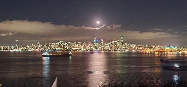 The photo shows the 180 degree, unobstructed bluff view! located in the city of Seattle.