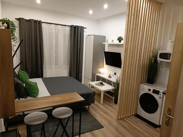 A la foto es mostra l'objecte Studios tres chaleureux situat a la ciutat de Roubaix.