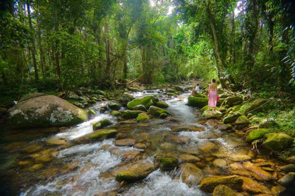 The photo shows the Cairns Rainforest Retreats located in the city of Babinda.