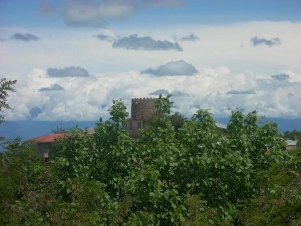 Foto 4: Temuka