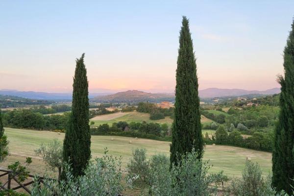 På bildet vises objektet Pevoni - 1 Bed apartment with stunning Tuscan views som ligger i byen Tortigliano.