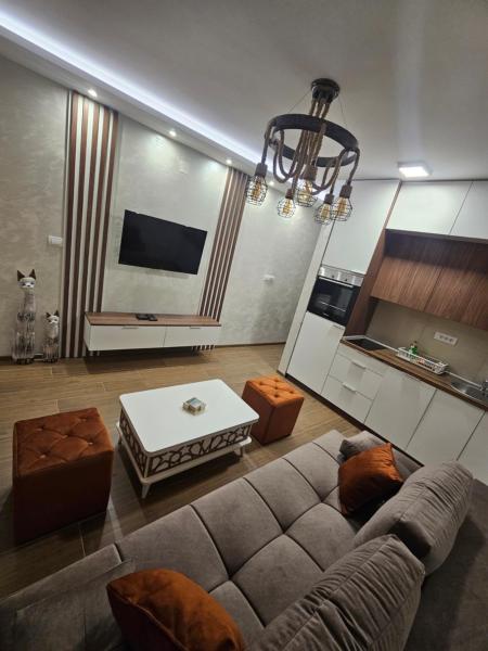 A la foto es mostra l'objecte Apartmani Mandić Divčibare situat a la ciutat de Divčibare.
