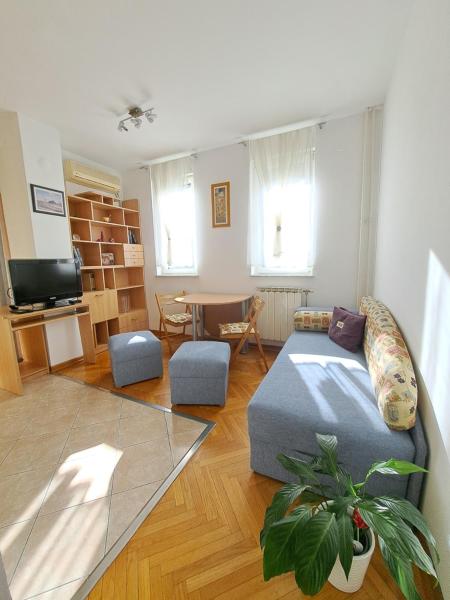 Ramonda, Belgrad