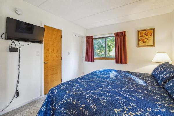 Photo 8 : Pinnacle E01