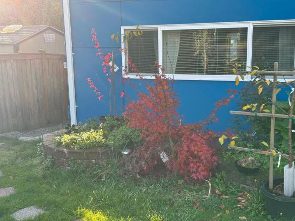 Foto 4: Studio in West Seattle