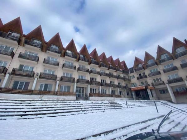 A la foto es mostra l'objecte Sunny Bakuriani Apartment situat a la ciutat de Bakuriani.