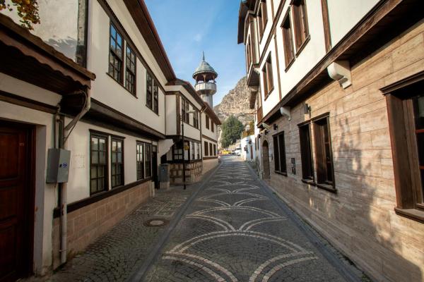 Kuvassa näkyy kohde EMİN EFENDİ KONAKLARI, joka sijaitsee kaupungissa Amasya.