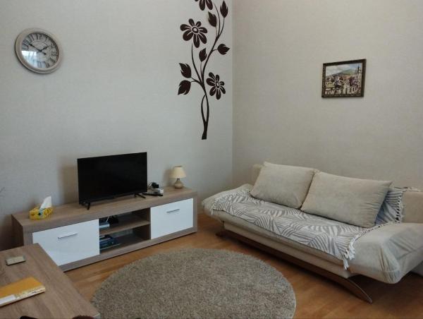 照片显示了位于Kulʼparkuv市的Family Stay in Lviv (2 Rooms + Kitchen)物件。