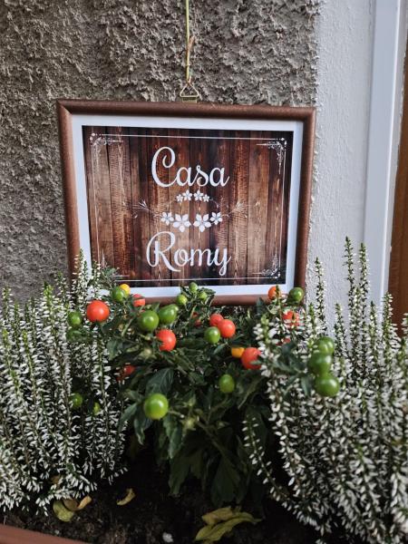A la foto es mostra l'objecte Casa Romy situat a la ciutat de Rovere della Luna.