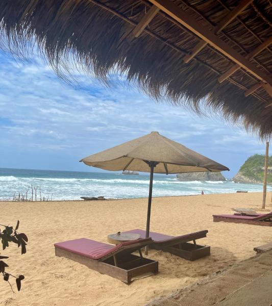 Na fotografii je vidět objekt Posada Mexico nacházející se ve městě Zipolite.