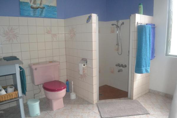 Foto 6: faré apî