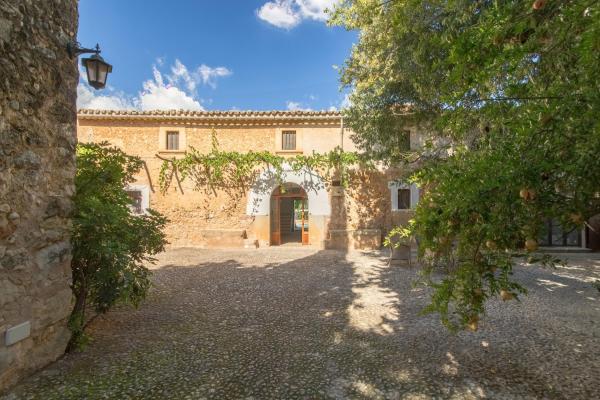 Photo 8 : Buger - 2183-41 Mallorca