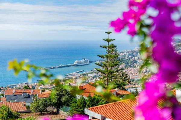 A la foto es mostra l'objecte Ana's Place situat a la ciutat de Funchal.