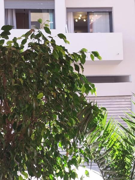 På billedet ses objektet Airport mohamed 5 break apartments beliggende i byen Derroua.