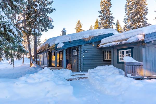 The photo shows the Trysilfjellet sør 318 located in the city of Trysil.