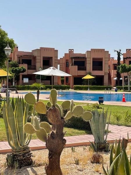 A la foto es mostra l'objecte Merveilleuse Marrakech situat a la ciutat de Marràqueix.