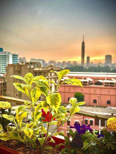 Nella foto è visibile l'oggetto Midtown Nile View Suites situato nella città di Il Cairo.