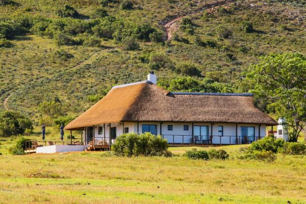 Na zdjęciu widoczny jest obiekt Barefoot Addo Elephant Lodge - Luxury Family Villa położony w mieście Spitskop.