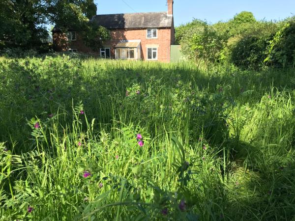 A la foto es mostra l'objecte Priory Meadow Cottage situat a la ciutat de Allington.