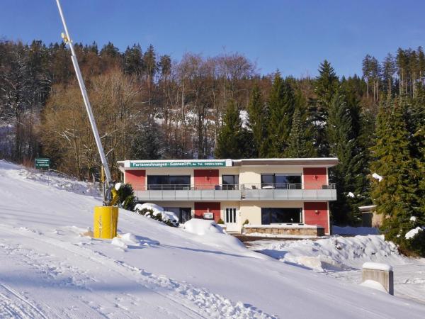 Zdjęcie 3: Quartier12 - Ski in & bike out - Fewo HANG & Fewo L!EBE