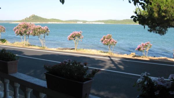 På bilden syns objektet Ayvalik Dostlar Pansiyon som ligger i staden Sefaçamlık.