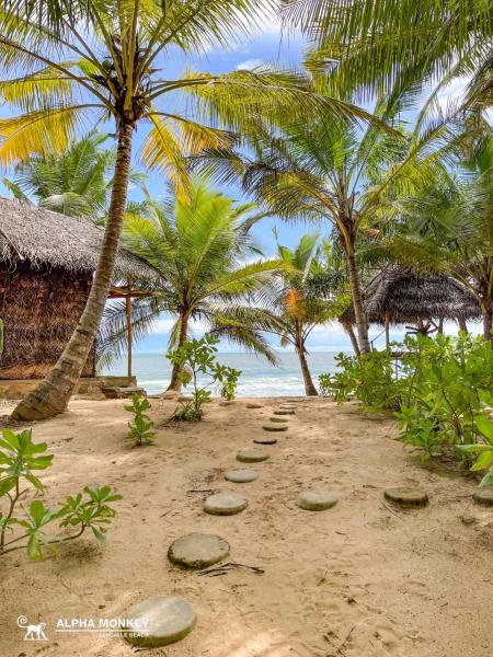 The Alpha Monkey Hotel & Tree House - Sri Lanka