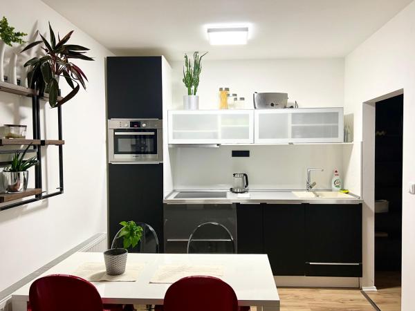 На фото показан объект Apartment Brno- BBQ terrace, расположенный в городе Husovice.