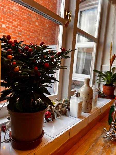 Bilde 6: Cartref - Fully equipped and stunning town flat