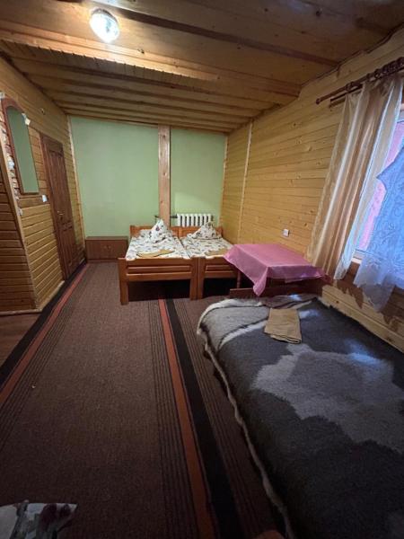 Foto 6: Калина