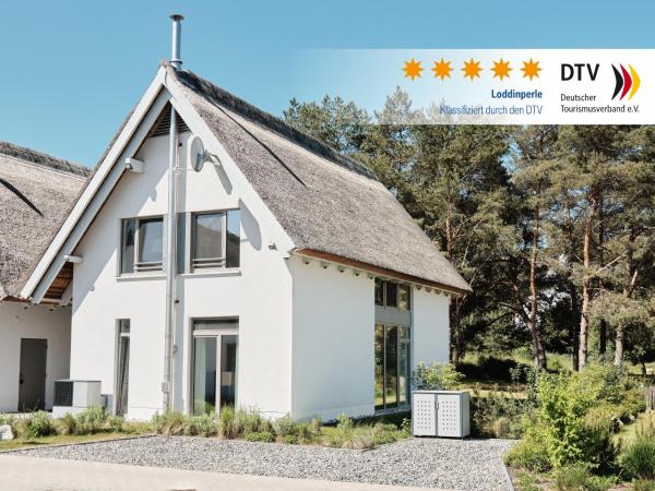 Na fotografii je vidět objekt Ferienhaus Loddinperle mit Sauna nacházející se ve městě Loddin.