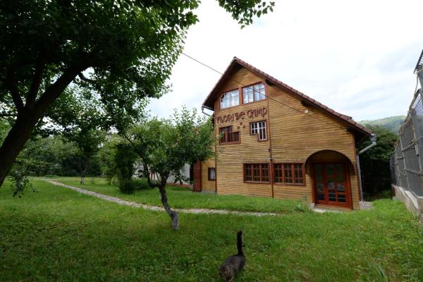 Pensiunea Flori De Camp - Vatra Dornei