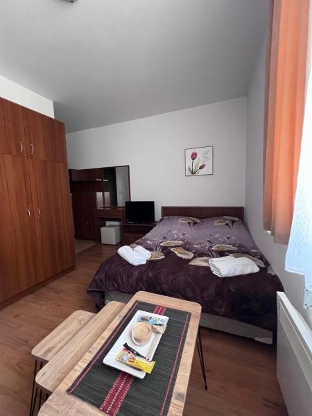 A la foto es mostra l'objecte Kalina Apartment's in Bansko situat a la ciutat de Bansko.